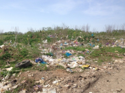 Заваленный мусором участок с загрязненной почвой обнаружили в Волгодонском районе