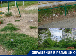 Разбросанные стекла и трава по колено на детской площадке вызывает недовольство у волгодонцев