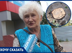«Они уничтожили 30-летние деревья»: волгодонцы возмущены вырубкой деревьев