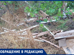 Экологическая катастрофа: десятки ртутных ламп выбросили на окраине Волгодонска 