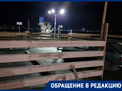 Елочный базар на парковочных местах для инвалидов возмутил жителей Волгодонска