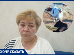«Я хочу, чтобы народ жил и не страдал от таких негодяев»: банда скотокрадов напала на станицу Калининскую в Ростовской области 