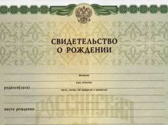 В Волгодонском районе лучшая демографическая ситуация на Дону
