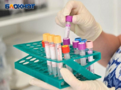 Все тесты отрицательные: в Волгодонске не выявили новых больных коронавирусом