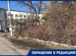 Работникам общественного транспорта приходится справлять нужду возле остановки