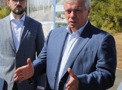 Василий Голубев выступил с инициативой принудительного изъятия земли в Романовской и Цимлянске для важных строек