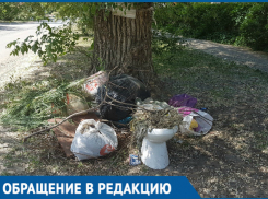 «Стихийный сортир» или несанкционированная свалка: выброшенный под дерево унитаз уже месяц мозолит глаза волгодонцам 
