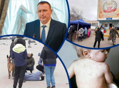 Новый глава администрации, корь, агрессивная лошадь и выборы президента: главные события в Волгодонске на уходящей неделе