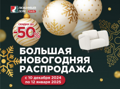 Большая новогодняя распродажа* продолжается в «Любимом доме family»