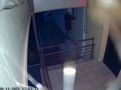 Невозмутимый вор похитил москитную сетку с окна дома на улице Кошевого и скрылся в вечернем сумраке