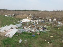 Под натиском прокуратуры в Дубовском районе ликвидировали несанкционированную свалку 