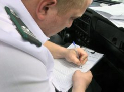В Константиновском районе на сельхозземлях обнаружили свалку площадью 8,5 тысячи квадратных метров