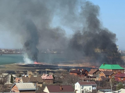 Все под контролем: камыш на заливе в Волгодонске выжигают организованно