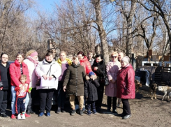 «Машиностроитель» в шоке!: квазиналог на дачников для отлова и  содержания бродячих собак в частном приюте могут ввести в Волгодонске
