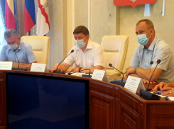 Дума и администрация схватились за голову: дело о «липовой рощей на Ленина» изменит регламент проведения общественных слушаний 