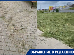 «Лишь бы отстали?»: волгодонцы показали, как на набережной покосили траву