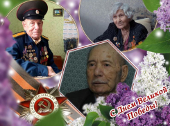 О войне из первых уст: ветераны Волгодонска поделились своими воспоминаниями о временах Великой Отечественной