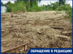 «Это позор для Волгодонска»: главный городской пляж превратился в свалку с мертвыми животными и ветками 