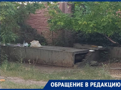 Котокормилица развела во дворе многоэтажки жуткую антисанитарию 