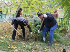  День древонасаждений в Волгодонске пройдет по плану