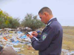 Россельхознадзор выявил свалку на сельхозземлях в Волгодонском районе