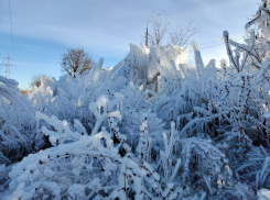 Сказочная ледяная поляна образовалась на Жуковском шоссе благодаря дырявому водопроводу