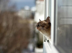 Какая погода ждет сегодня волгодонцев