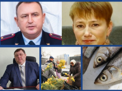 Выборы главы, миграция чиновников, разрешение на лов вкусной рыбы и преступные собаки: самые «горячие» новости Волгодонска за неделю