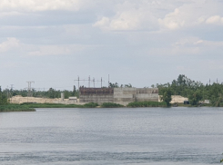 Почти 40 тысяч мальков выпустят в Дон в районе Цимлянской ГЭС