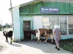 Донские депутаты выступают за продажу дешевой водки жителям  Волгодонского района