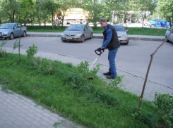 Волгодонские власти хотят сменить подрядчика по покосу травы