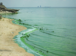 Воды в Цимлянском водохранилище все меньше, но его уровень на время прекратил свое снижение