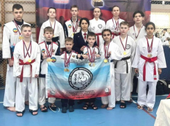 Волгодонские спортсмены одержали победу в региональном турнире по всестилевому каратэ