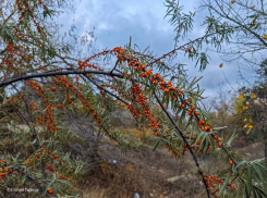 Сегодня в Волгодонске будет ясный день