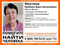 К поиску без вести пропавшей 87-летней волгодончанки подключились добровольцы «Лиза Алерт» 