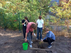 Юные эко-активисты города высадили саженцы каштанов и красного дуба 