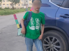 Стая собак напала на 10-летнего мальчика на муниципальном пляже Волгодонска, ребенок ранен