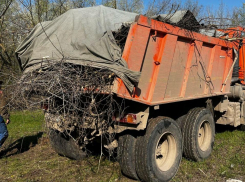  Освободите пространство от лишнего: «Домспецсервис» поможет избавиться от мусора законно и оперативно