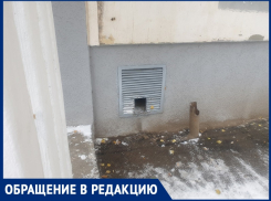«Остановите убийство кошек в Волгодонске»: пенсионерка борется за гарантированный доступ животных в подвалы МКД
