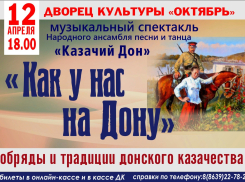Погрузиться в культуру и традиции донских казаков смогут жители Волгодонска 