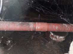 «Виноваты жильцы»: «ЖЭК-4» отреагировал на жалобы горожан о зловониях в подвале дома