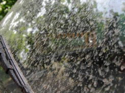 Грязный дождь в Волгодонске испачкал одежду и автомобили горожан