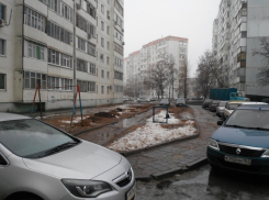 50 деревьев варварски спилили под корень в микрорайоне В-7, - волгодонец