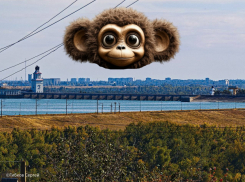 В Волгодонске после суточной блокировки заработал мобильный интернет