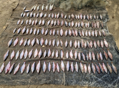 Уголовное дело возбудили на браконьера, ловившего в Цимлянском водохранилище судака и плотву