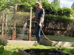 В КУИ призвали повысить земельный налог для всех дачников Волгодонска