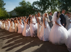 Влюбленные пары из Волгодонска активно женятся в День семьи