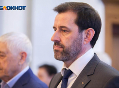 Более чем на три миллиона рублей упали доходы депутата Алексея Брежнева