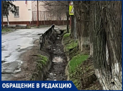 «В ста метрах от администрации ливневая канализация превратилась в мусорную канаву»: волгодонец
