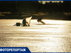 Ради рыбы готовы на все, даже спрятаться в пакете: как рыбаки переживают «ледовую лихорадку» на заливе